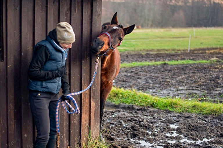 The best tips for (equine) winter complaints