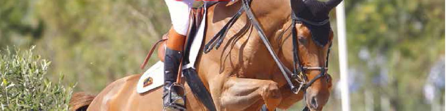 Horse Supplements & Care Products for Showjumping Horses