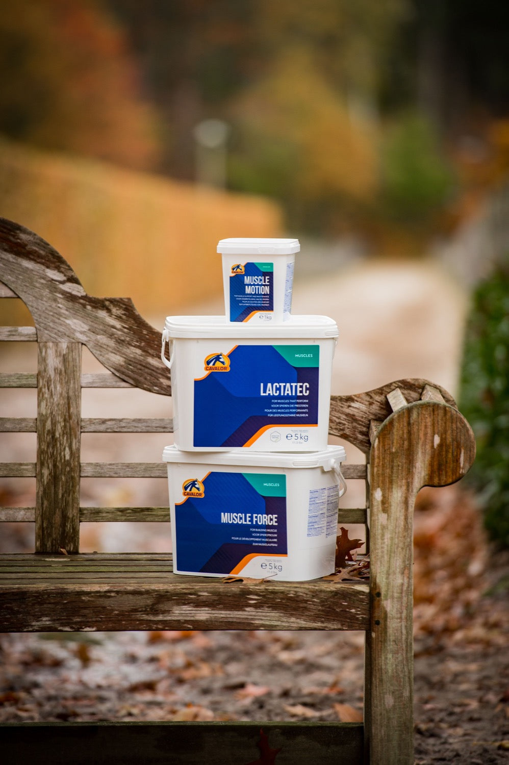 Muscle Supplements for Horses