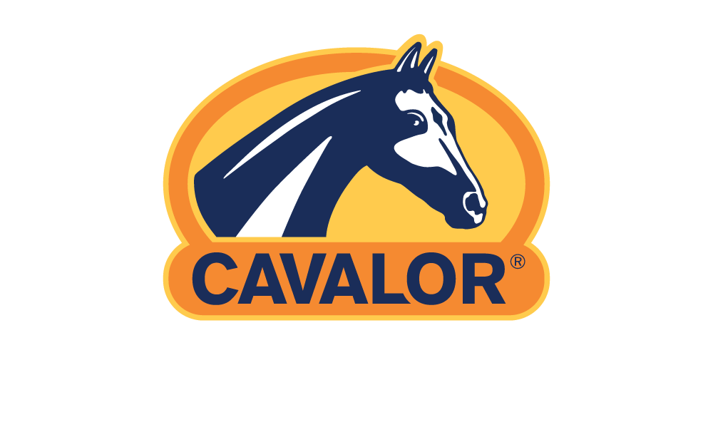 Cavalor Vitamino - Horse Muscle Building Supplement – Cavalor Direct